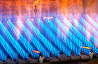 Rhostrehwfa gas fired boilers